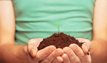 Similar image 8799400