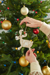 Similar image 8800153