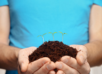 Similar image 8800204