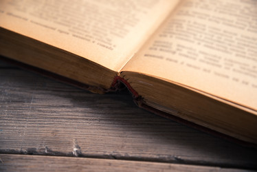 Similar image 8800352