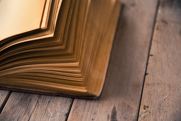 Similar image 8800354