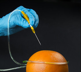 Similar image 8800389