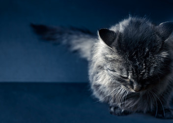 Similar image 8800515