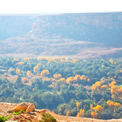 Similar image 8802424