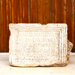 Similar image 8802428