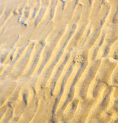 Similar image 8802434