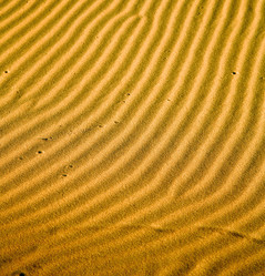 Similar image 8802453