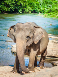 Similar image 8802815