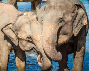 Similar image 8802816