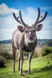 Similar image 8802819