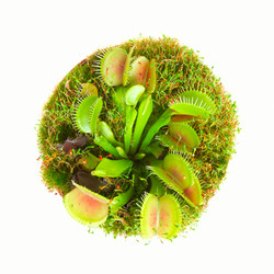 Similar image 8803589