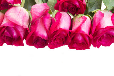 Similar image 8803683