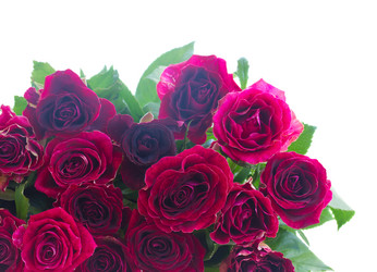 Similar image 8803685