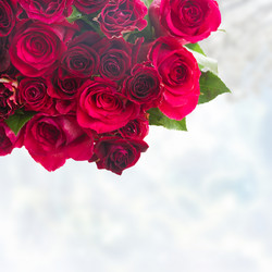 Similar image 8803690