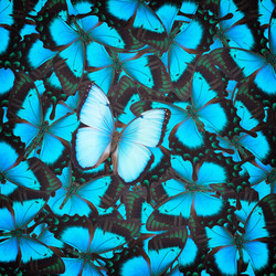 Similar image 8803825