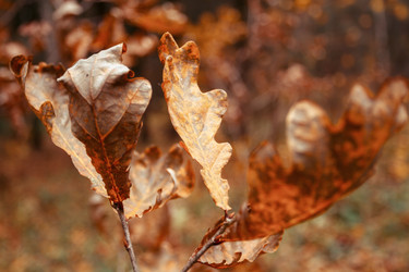 Similar image 8804034