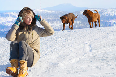 Similar image 8804475