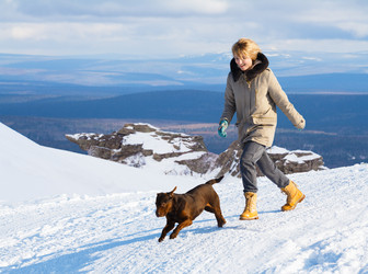 Similar image 8804477