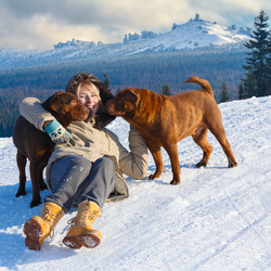 Similar image 8804480