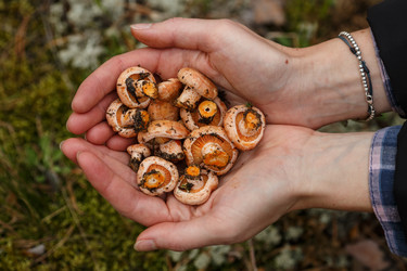 Similar image 8805179