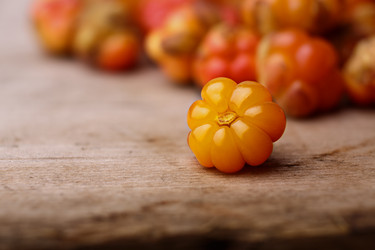 Similar image 8805187