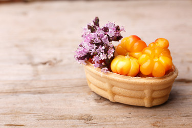 Similar image 8805203