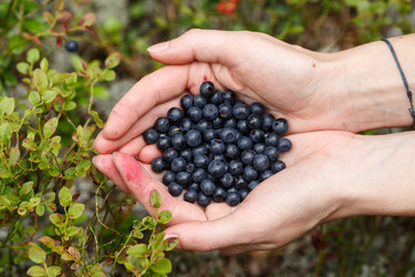 Similar image 8805306