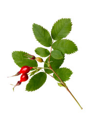 Similar image 8805321