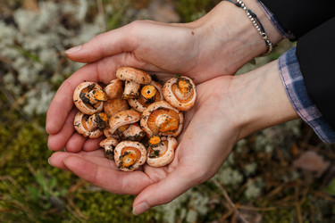 Similar image 8805389