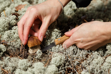 Similar image 8805512