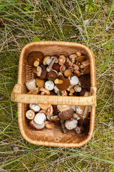 Similar image 8805517