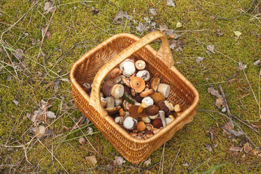 Similar image 8805522