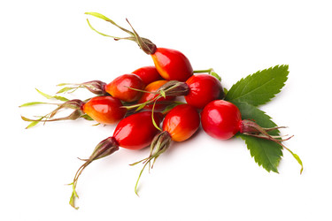 Similar image 8805547