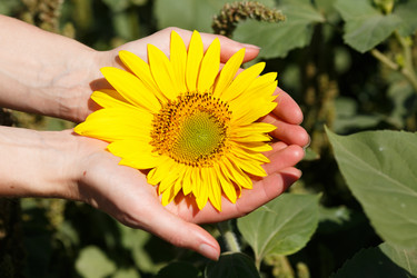 Similar image 8805549