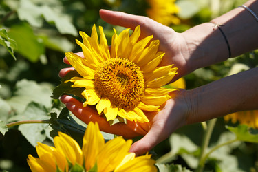 Similar image 8805553