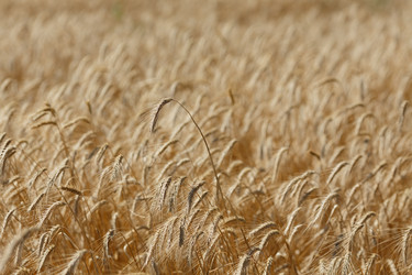 Similar image 8805647