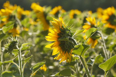 Similar image 8805655