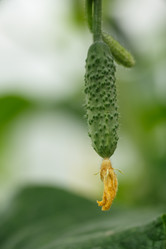 Similar image 8805666