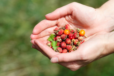 Similar image 8805689