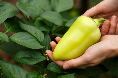 Similar image 8805769