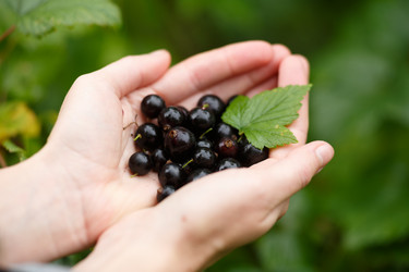 Similar image 8805792