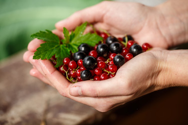 Similar image 8805798