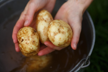 Similar image 8805840