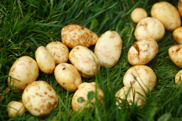 Similar image 8805845