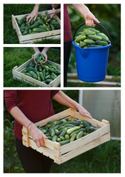 Similar image 8806045