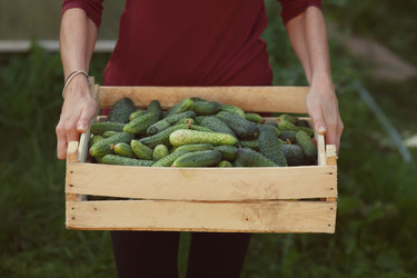 Similar image 8806053