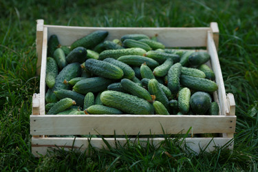 Similar image 8806058