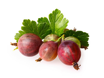 Similar image 8806161