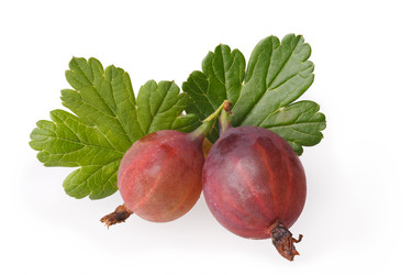 Similar image 8806184