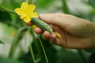 Similar image 8806196